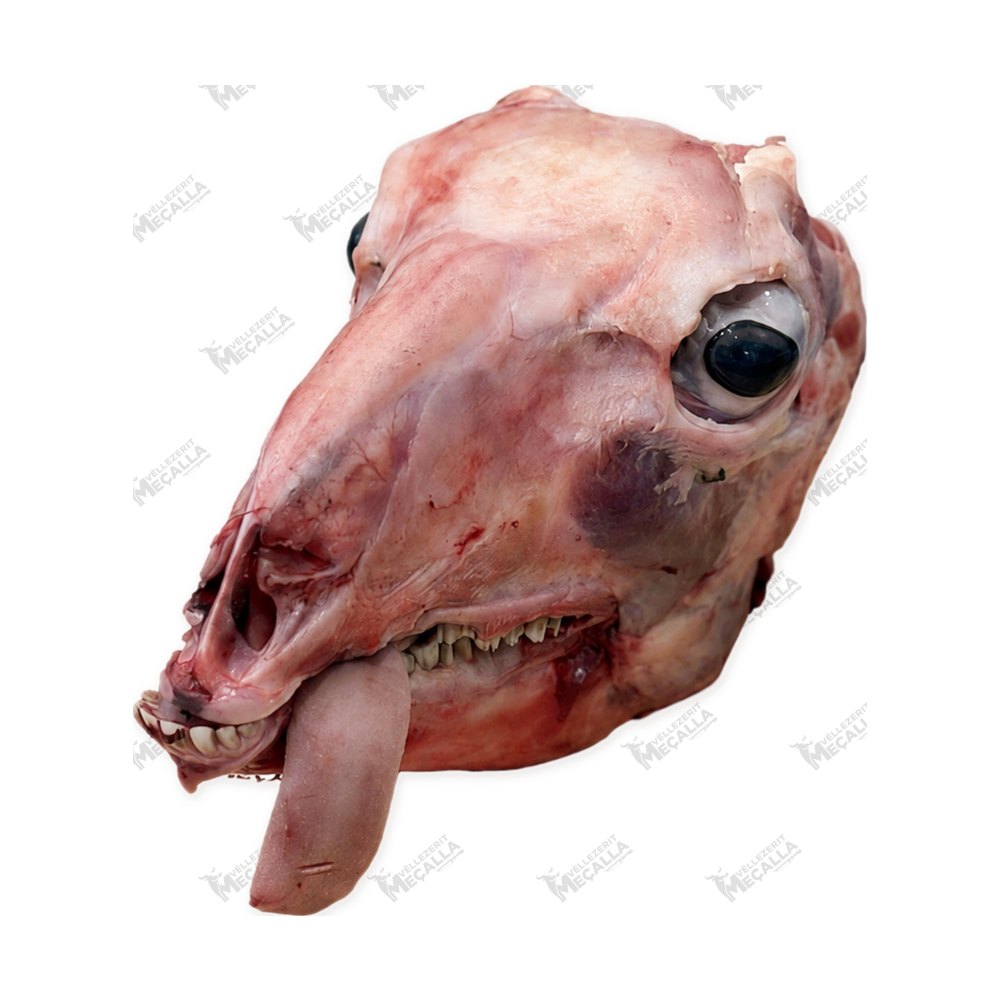 Kokë keci